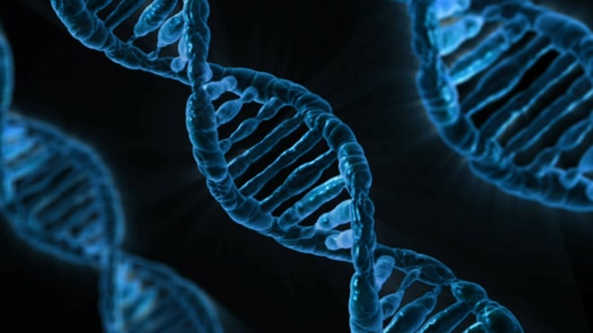 dna-double-helix