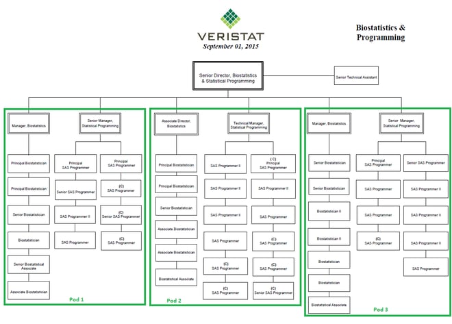 Veristat-Org-Chart-Biostatistics-Statistical-Programming