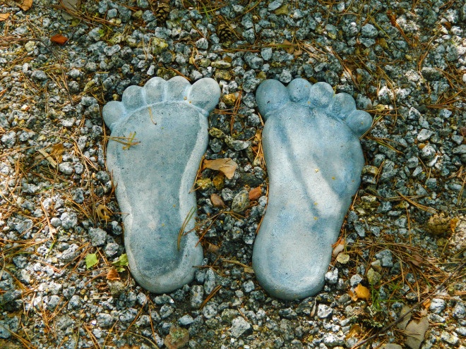 Veristat-Footprints-CRO