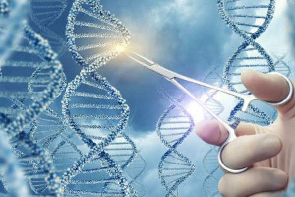 cell and gene therapy CRO and regulatory approvals