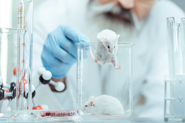 lab_cmc_mouseescapebeaker