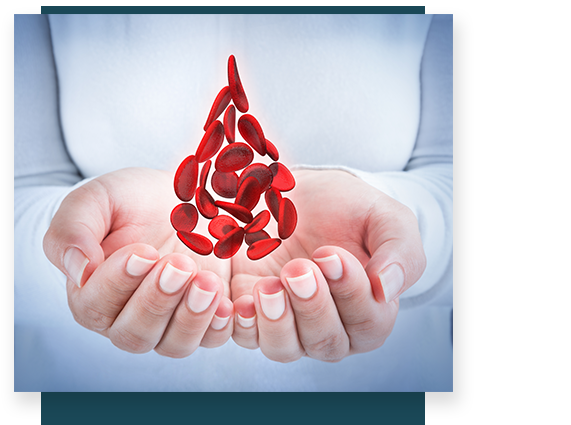 veristat_photo_hematology.png veristat_photo_hematology.png