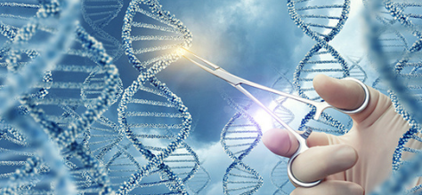 Home Page_Case Study_First Gene Therapy EU-2