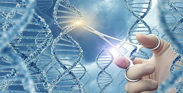 cellandgene_splicing